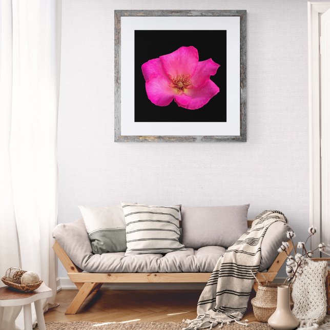 Filzstift-Rose Fotodruck (Von Creator hochgeladen)