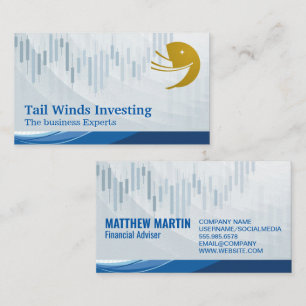 Finanzdiagramm   Segelschiff-Logo Visitenkarte