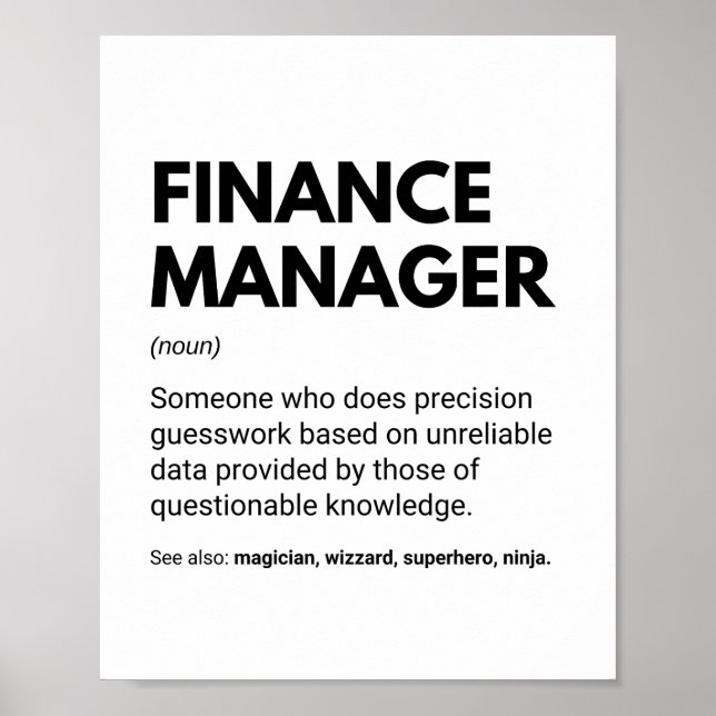 Finanzmanager Funny Specialist Definition Poster (Vorne)