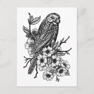 Finch auf Kirschzweig Postkarte