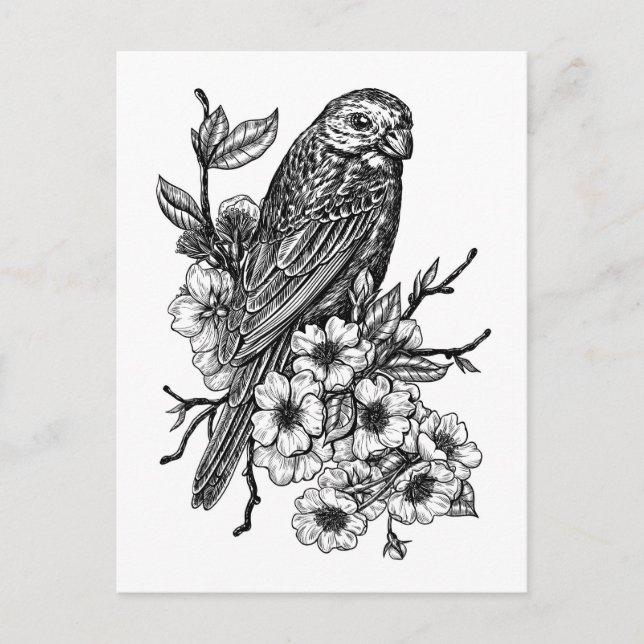 Finch auf Kirschzweig Postkarte (Vorderseite)