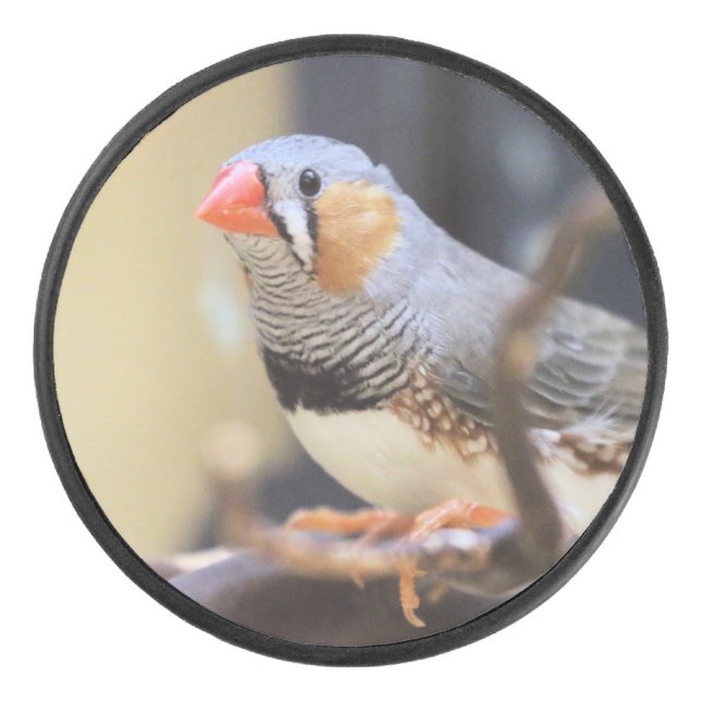 Finch Eishockey Puck (Vorderseite)