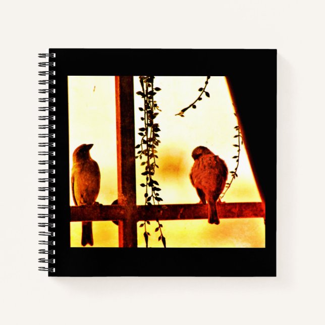 Finch Friends Notizbuch (Vorderseite)