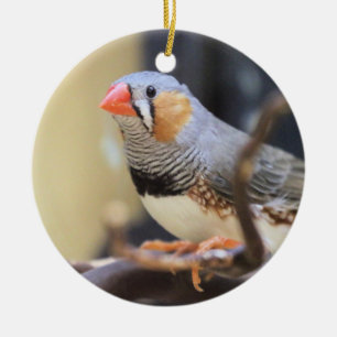 Finch Keramik Ornament
