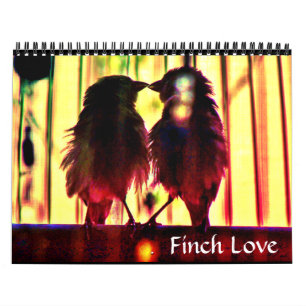 Finch-Liebe Kalender