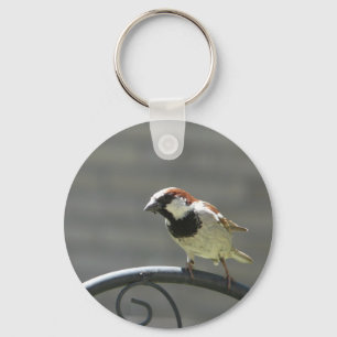 finch schlüsselanhänger