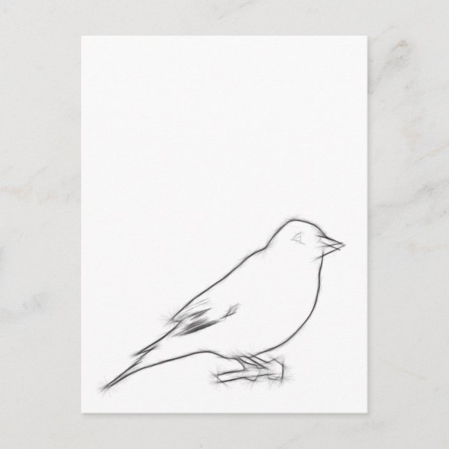 Finch-Sketch Postkarte (Vorderseite)