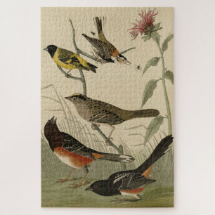 Finch, Towhere, Sparrow, Audubons Vögel von Amerik Puzzle