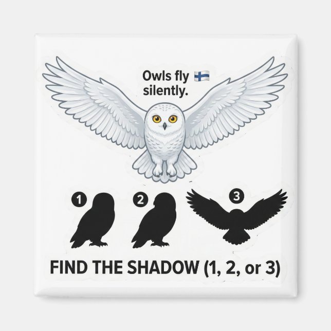 Find the Shadow – Snowy Owl Learning Magnet (Vorne)