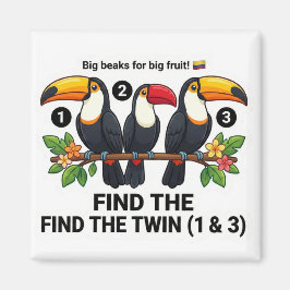 Find The Twin: Toucan Colombia Educational Matchin Magnet