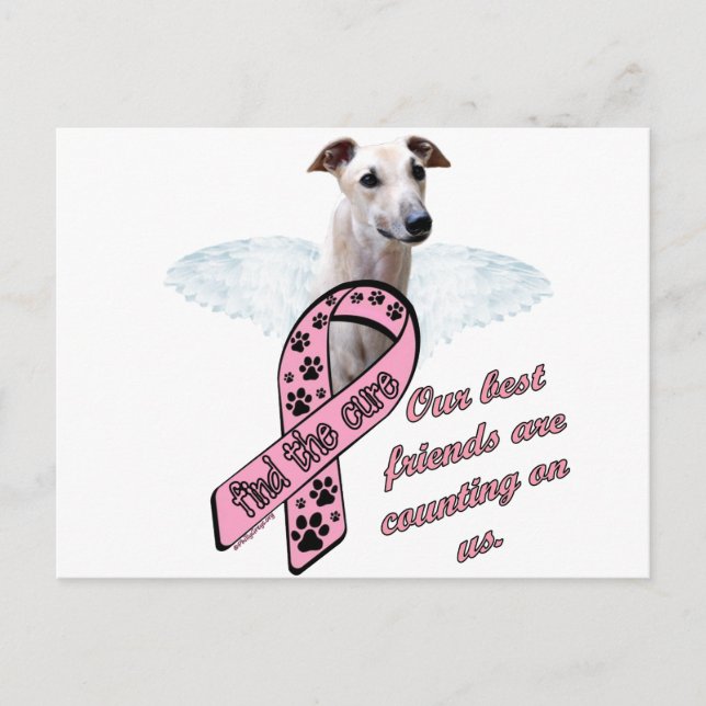 Finden Sie die Heilung ~ Flügel Postkarte (Vorderseite)