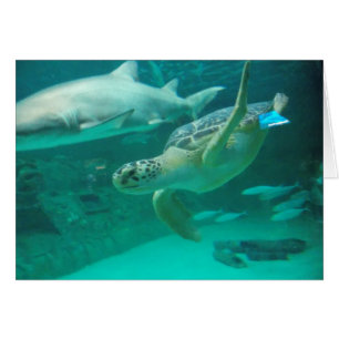 Finden Sie Ihre süße Stelle