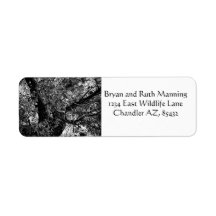 Finden Sie mich in den Bäumen