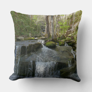 Findlay Falls I Kissen