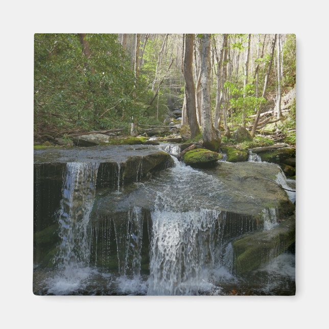 Findlay Falls I Magnet (Vorne)