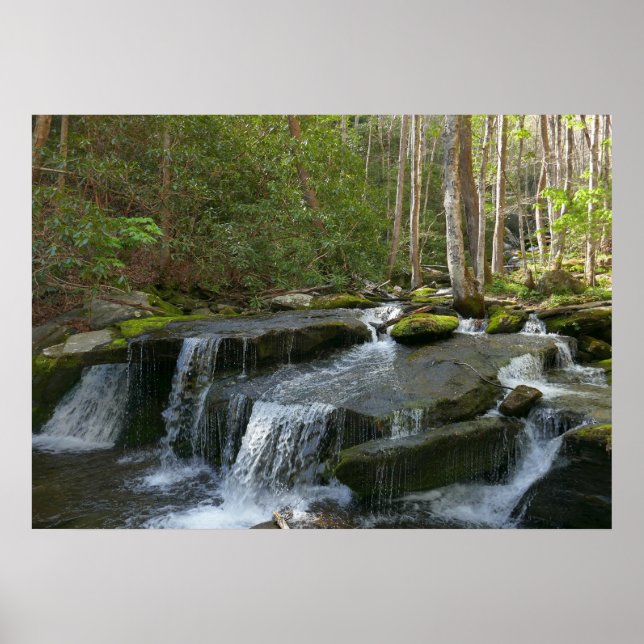 Findlay Falls II Poster (Vorne)
