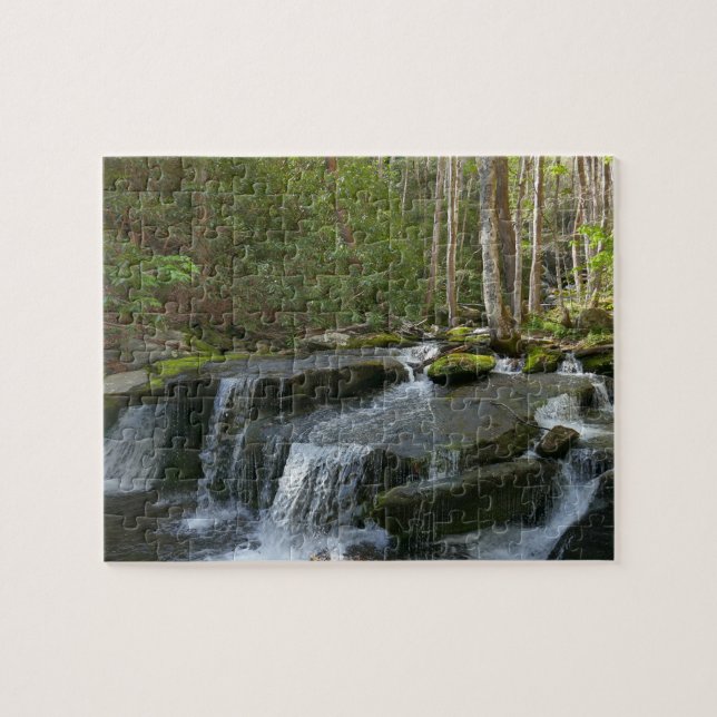Findlay Falls II Puzzle (Horizontal)