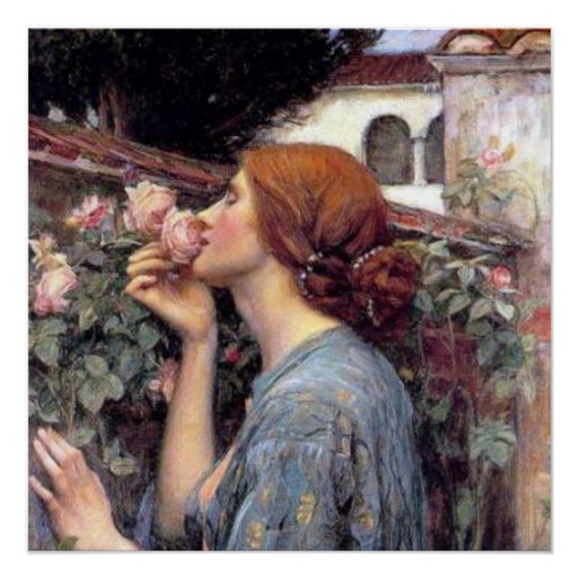 Fine Art Das Soul des Rose Poster (Vorderseite)