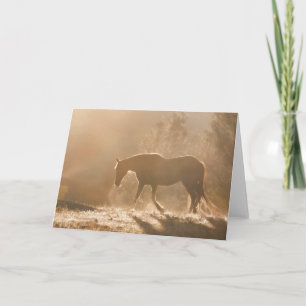 Fine Art Equine Blank-Mitteilungskarten Karte