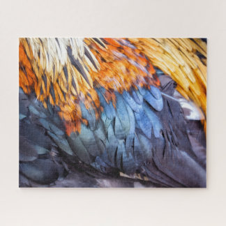 Fine Art Feather Puzzle