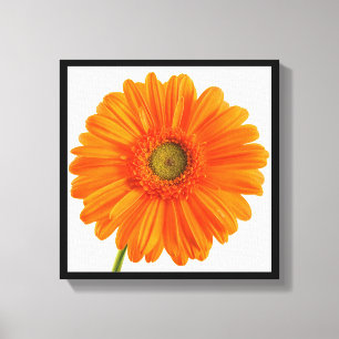 Fine Art Fotografy Orange Gerbera Daisy Blume Leinwanddruck