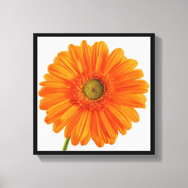 Fine Art Fotografy Orange Gerbera Daisy Blume Leinwanddruck (Vorderseite)