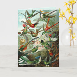Fine Art Hummingbirds Custom Gruß Karte