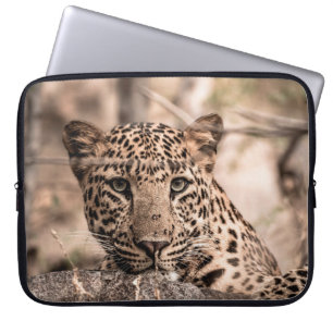 Fine art image of male leopard or panther portrait laptopschutzhülle