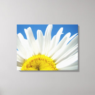 Fine Art Leinwand White Daisy Blume Blue Sky
