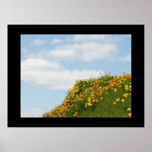 Fine Art Prints Blue Sky Summer Poppy Meadow Poster (Vorne)