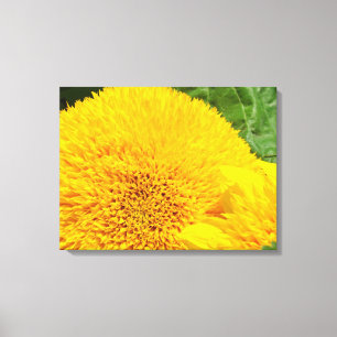 Fine Art Prints Summer Yellow Sunflowers Leinwanddruck