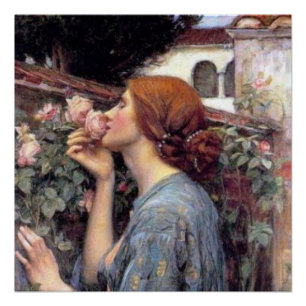 Fine Art The Soul of the Rose Poster