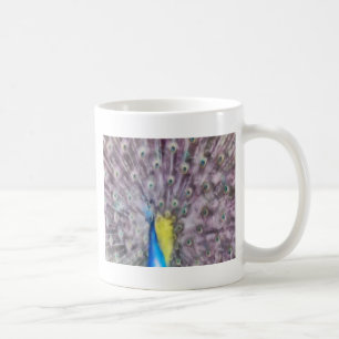 Fine Feather Peacock Paating Plumage Tasse
