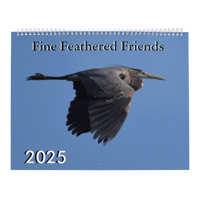 Fine Feathered Friends 2025 Kalender (Titelbild)