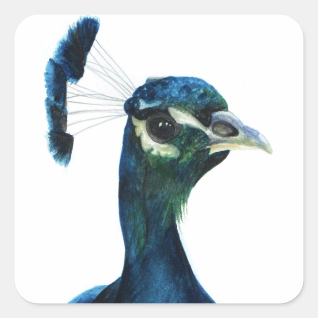 Fine Feathers Quadratischer Aufkleber (Vorderseite)
