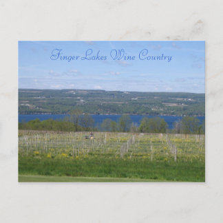 Finger Lakes Wine Country Postkarte