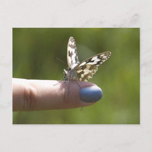 Fingerfliege Postkarte (Vorderseite)