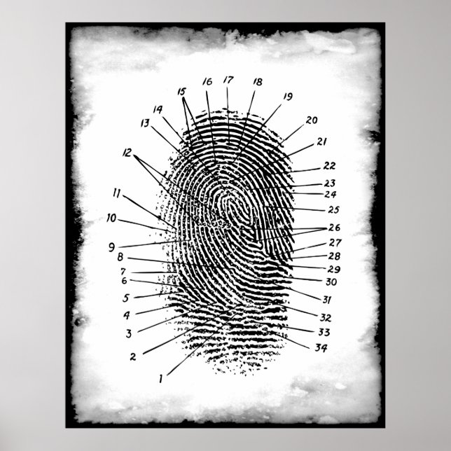 FINGERPRINT FORENSICS POSTER (Vorne)