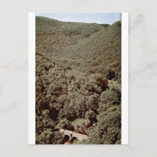 Fingle Bridge Vintage Wooded Valley Portrait Postkarte