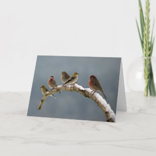Fink-Weihnachtskarte Feiertagskarte