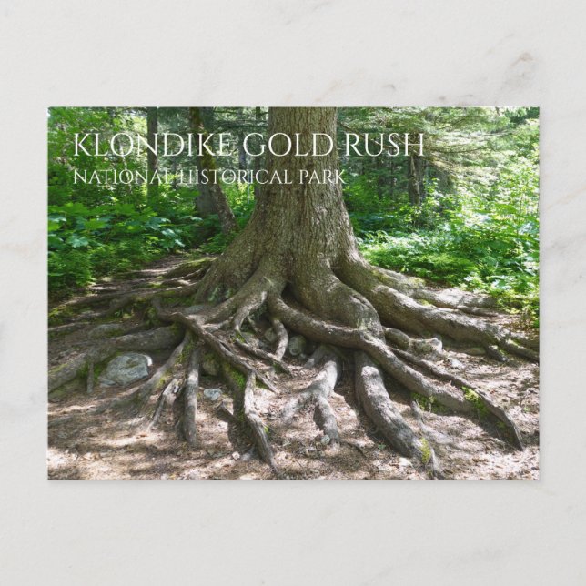 Finnegan's Point, Chilkoot Trail, Gold Rush NHP Postkarte (Vorderseite)