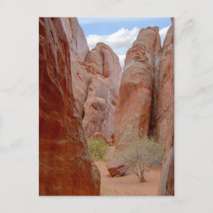 Finnen, Arches National Park, Utah, Postcard Postkarte
