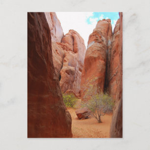 Finnen, Arches National Park, Utah, Postcard Postkarte