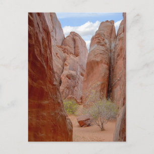 Finnen, Arches National Park, Utah, Postcard Postkarte