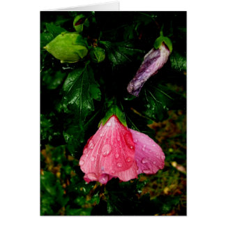 Finnisch-Hyvää Syntymäpäivää-raindrops
