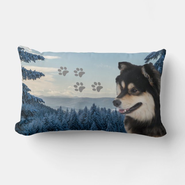 Finnisch Lapphund Roni Lendenkissen (Vorderseite)
