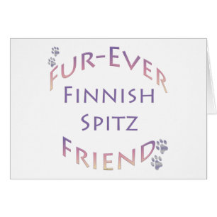 Finnisch Spitz Furever