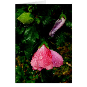 Finnische-Hyvää Syntymäpäivää-Regentropfen