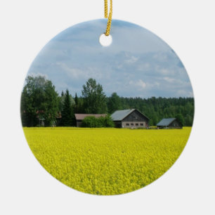 Finnische Landschaftsverzierung Keramikornament