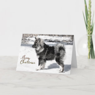 Finnische Lapphund Weihnachtskarte Feiertagskarte